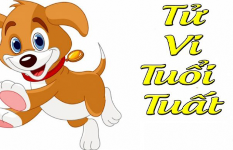 Tuổi Tuất 1982 Đặc Điểm Tính Cách Sâu Sắc Và Uyên Bác